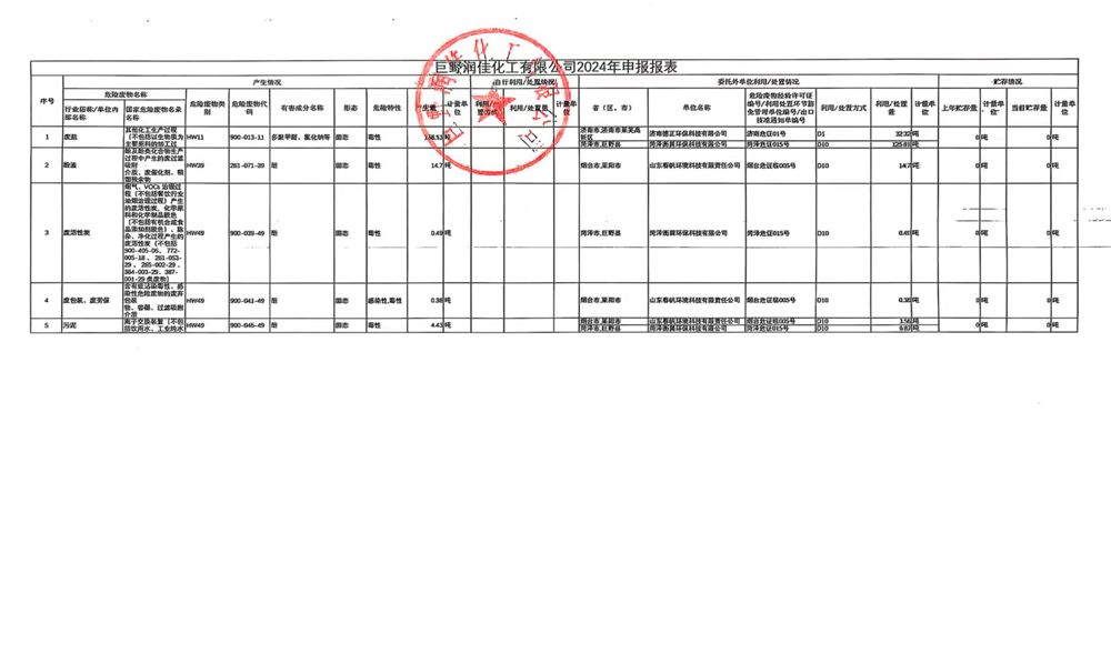巨野润佳化工有限公司2024年申报报表