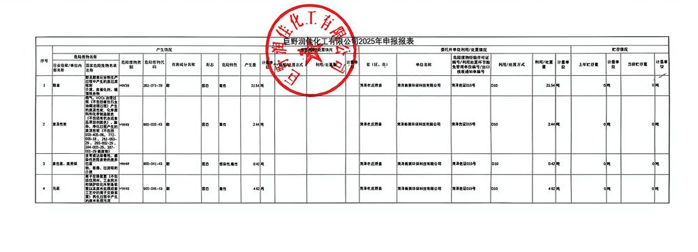 巨野润佳化工有限公司2025年申报报表